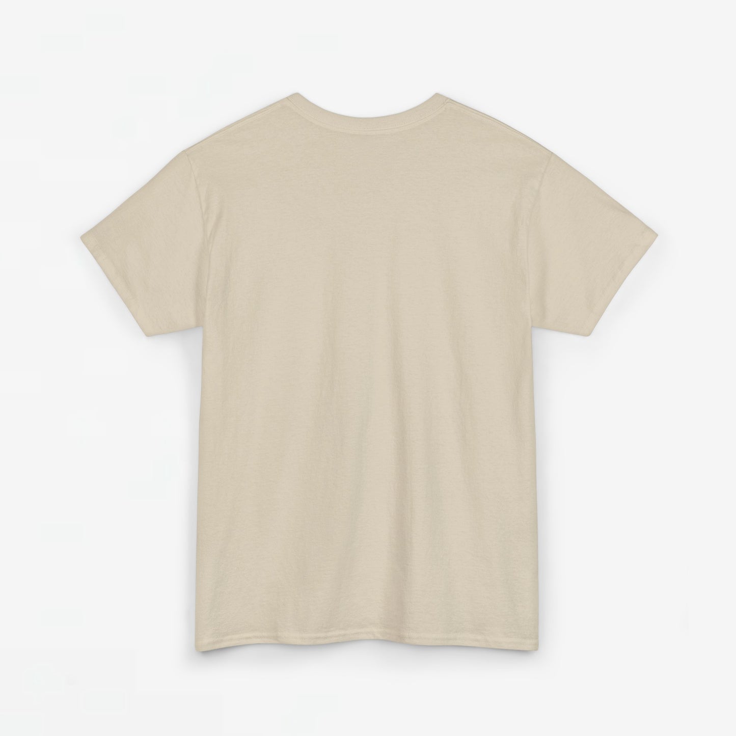 Gay Pride T-shirt - 100% Regenboog - Oversized #33
