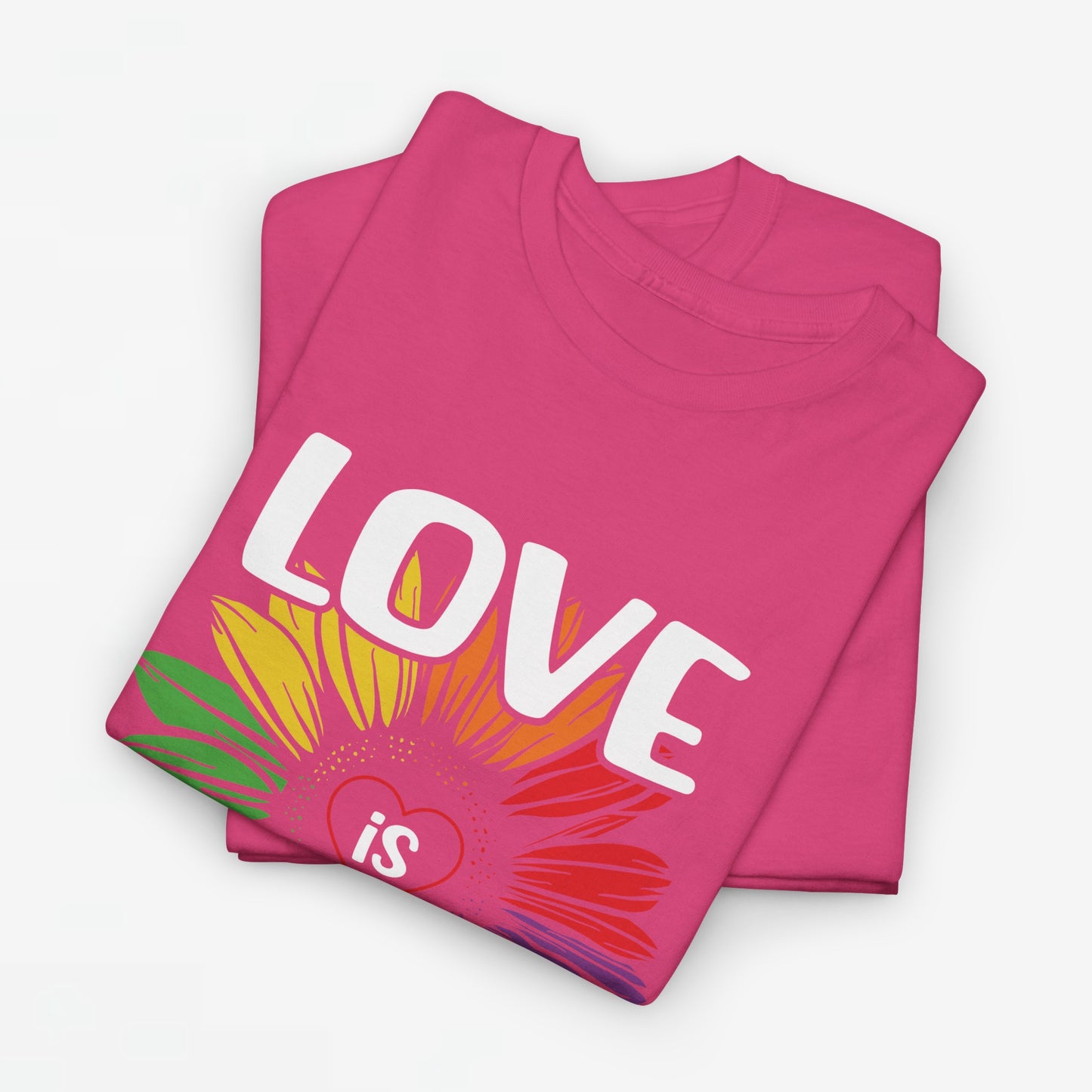 Gay Pride T-shirt - Love is Love - Oversized #65
