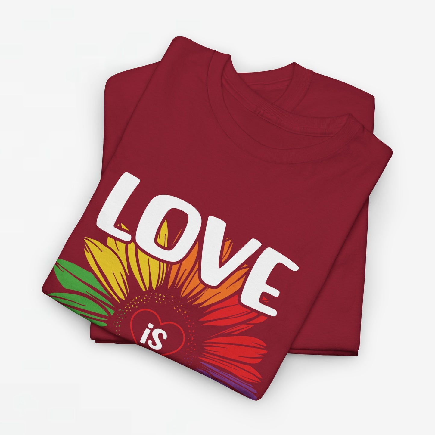 Gay Pride T-shirt - Love is Love - Oversized #65