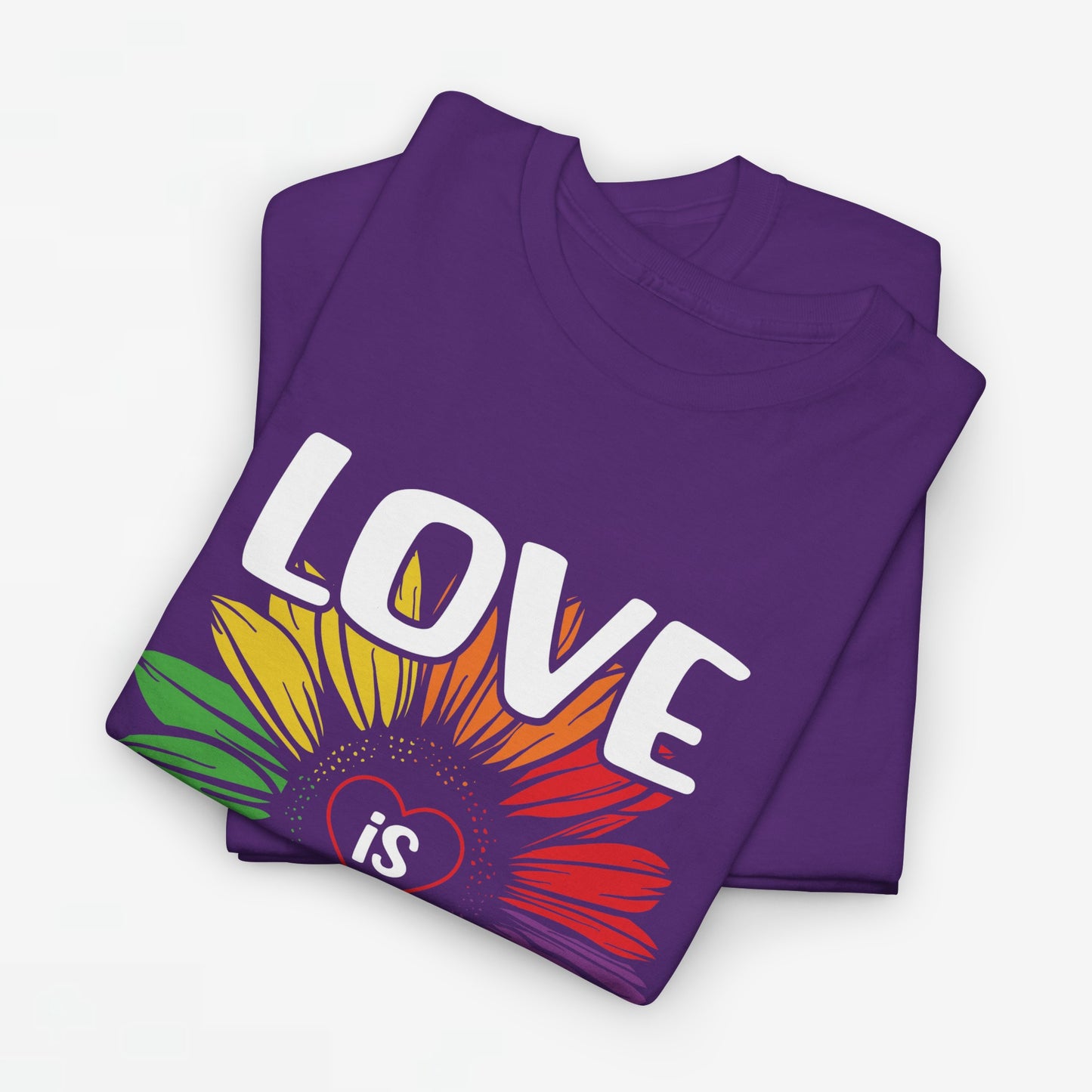 Gay Pride T-shirt - Love is Love - Oversized #65