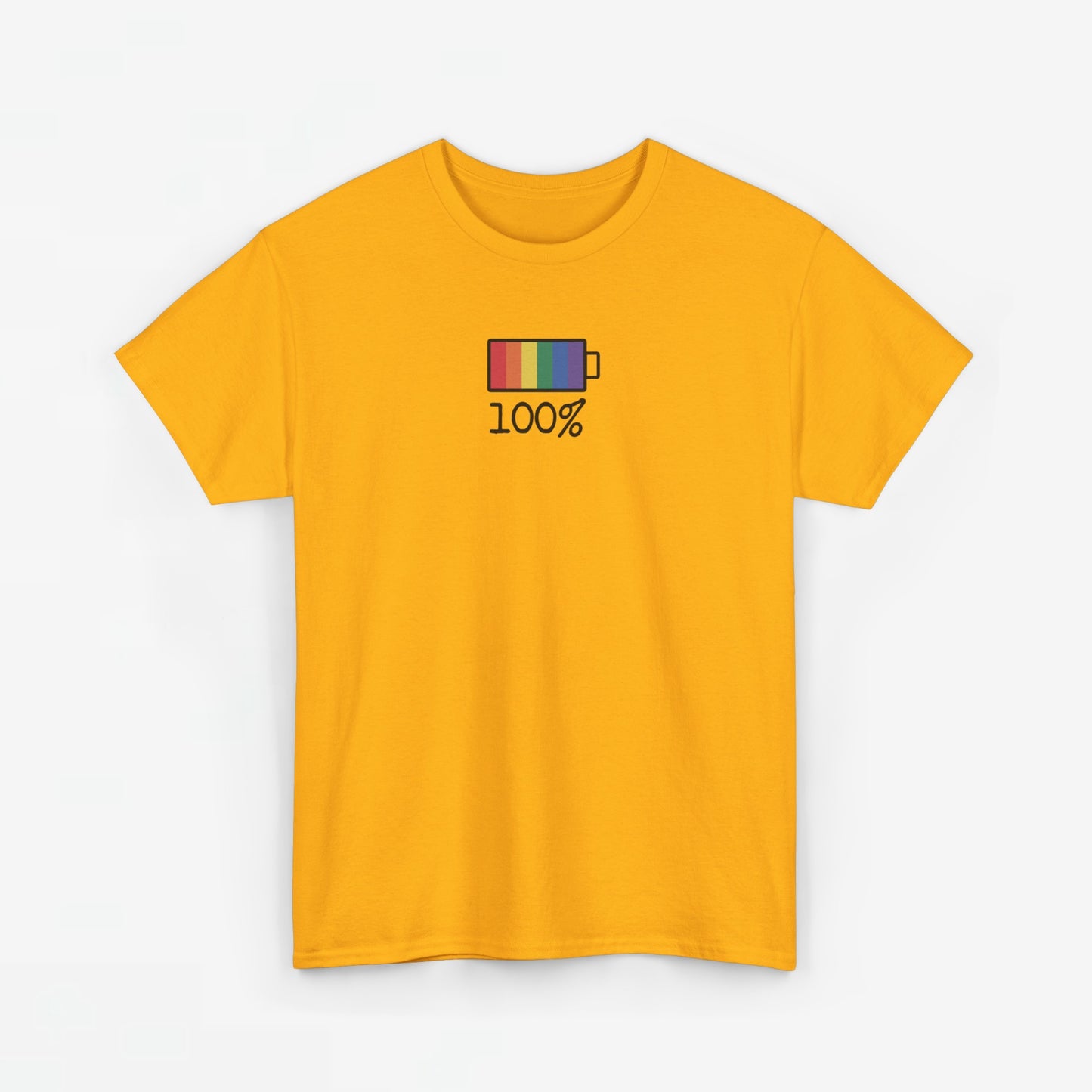Gay Pride T-shirt - 100% Regenboog - Oversized #33