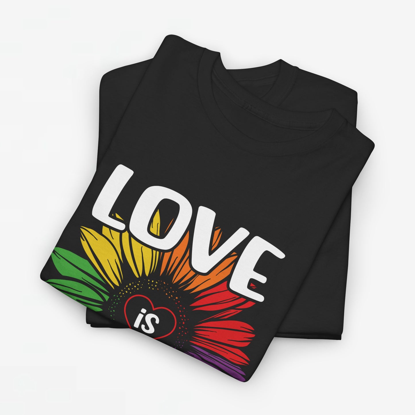 Gay Pride T-shirt - Love is Love - Oversized #65