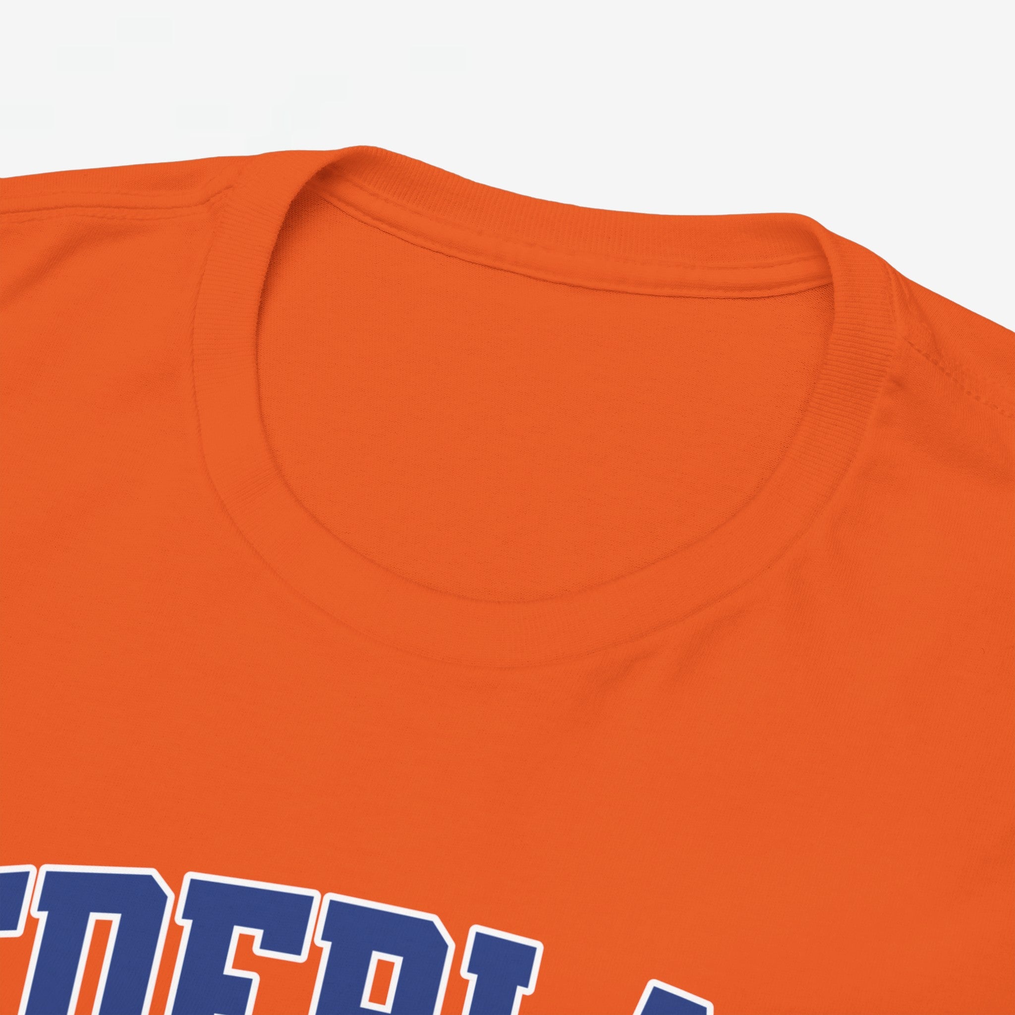 Oranje T-shirt voor EK, WK en Koningsdag - Personaliseer met Naam & Rugnummer - NEDERLAND met Leeuw (blauwe tekst)