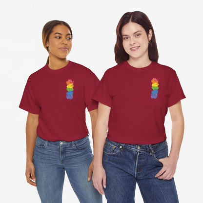 Gay Pride T-shirt - Katten Regenboog - Oversized #39