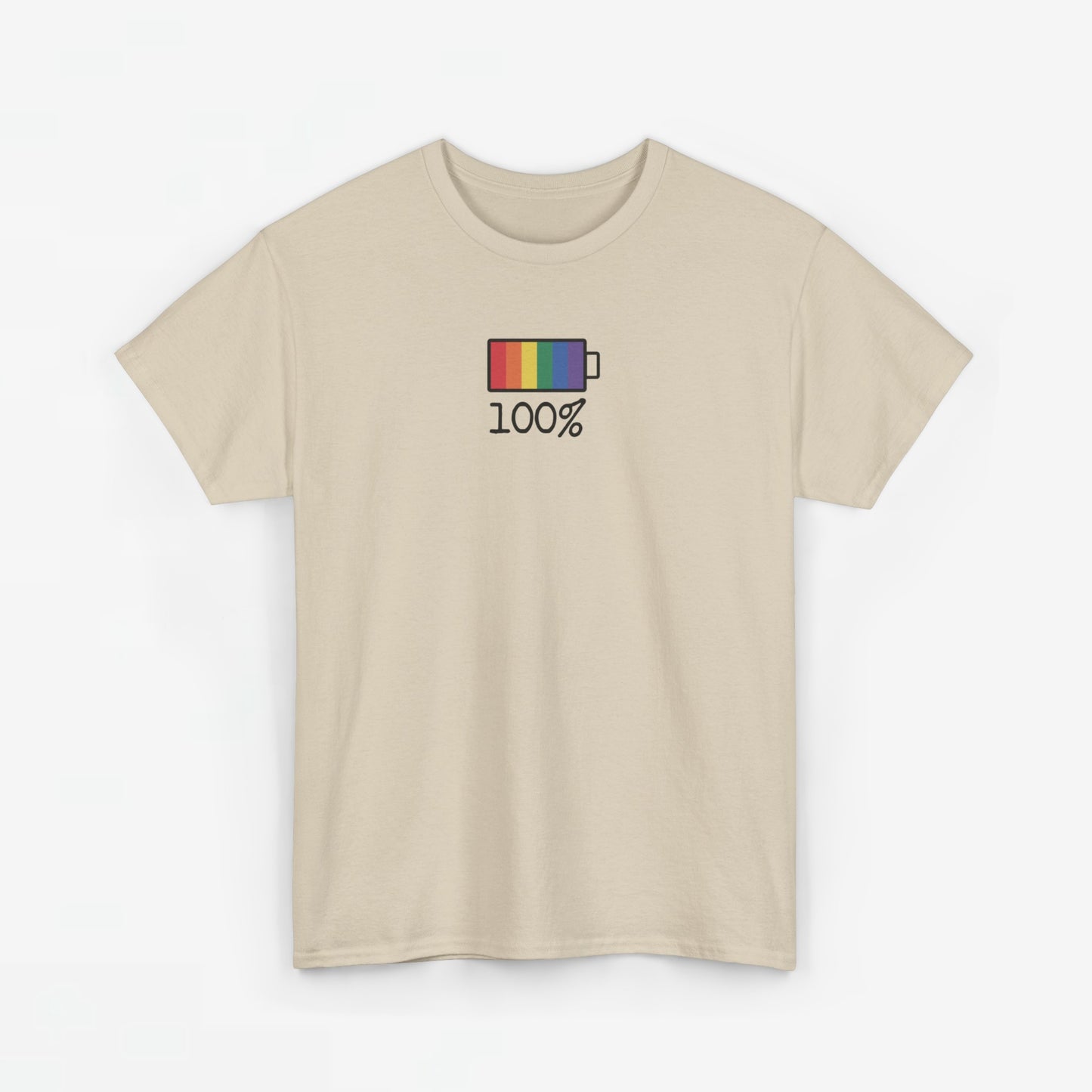 Gay Pride T-shirt - 100% Regenboog - Oversized #33