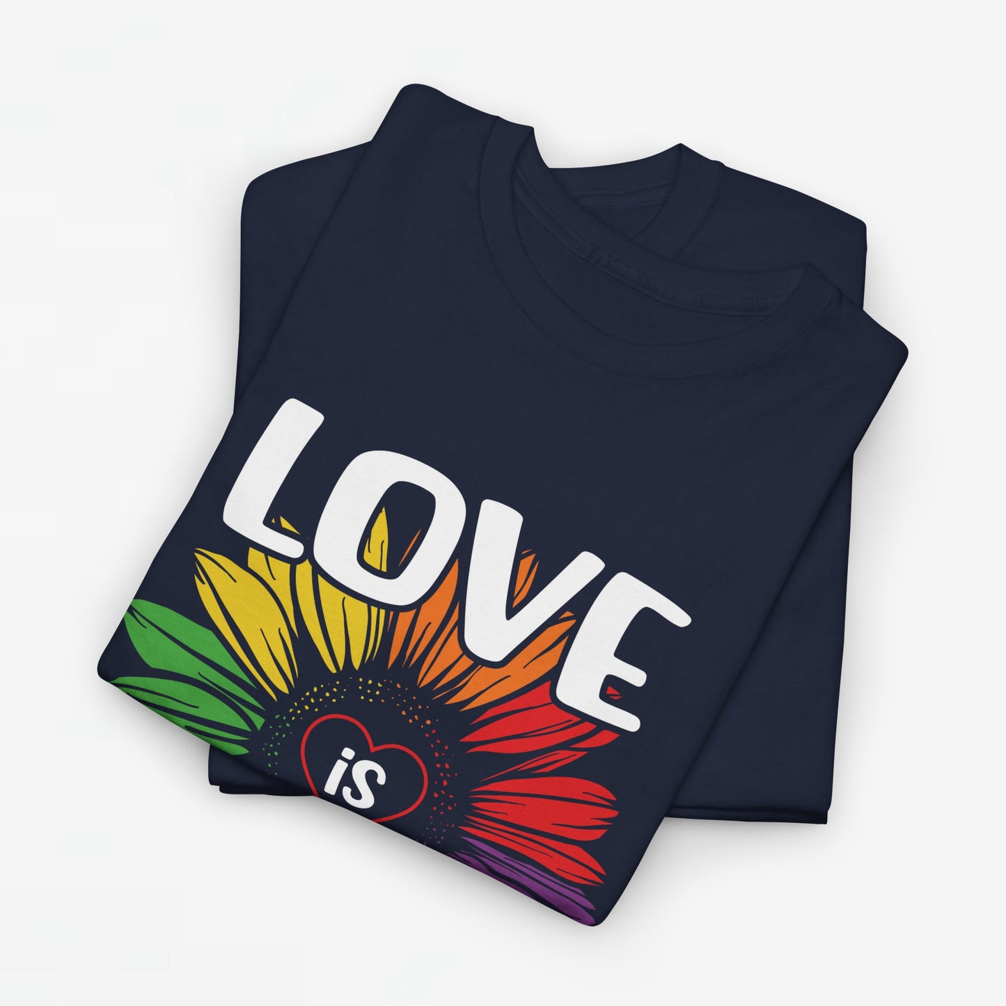Gay Pride T-shirt - Love is Love - Oversized #65