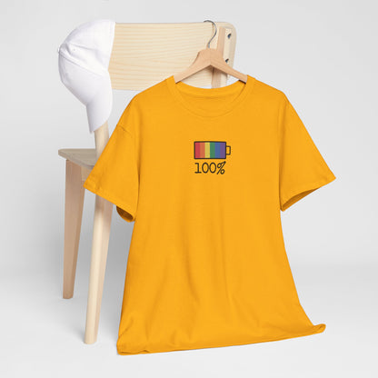 Gay Pride T-shirt - 100% Regenboog - Oversized #33