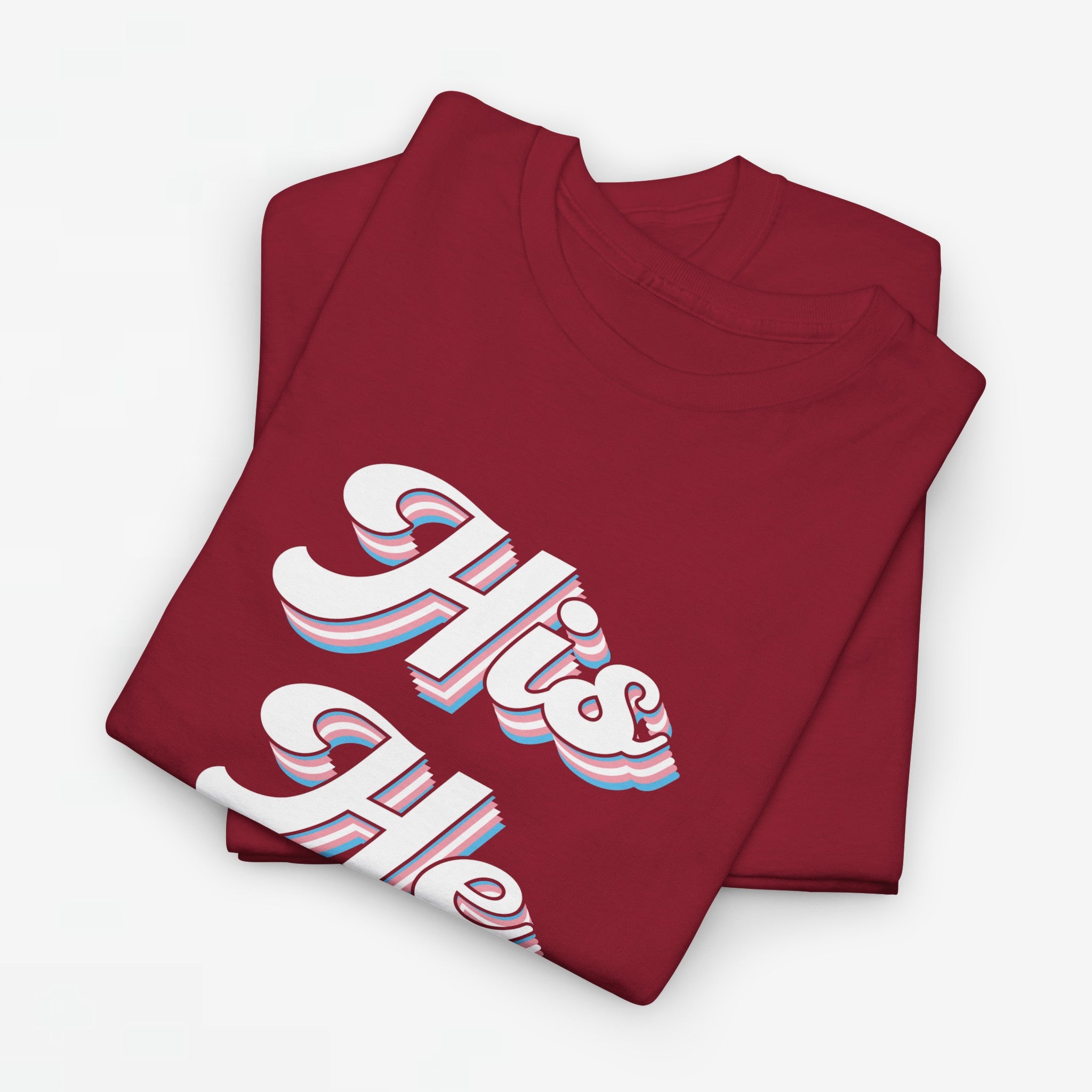 Gay Pride T-shirt - His He Him - Oversized #63