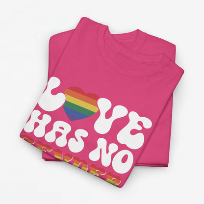 Gay Pride T-shirt - Love Has No Gender - Oversized #20