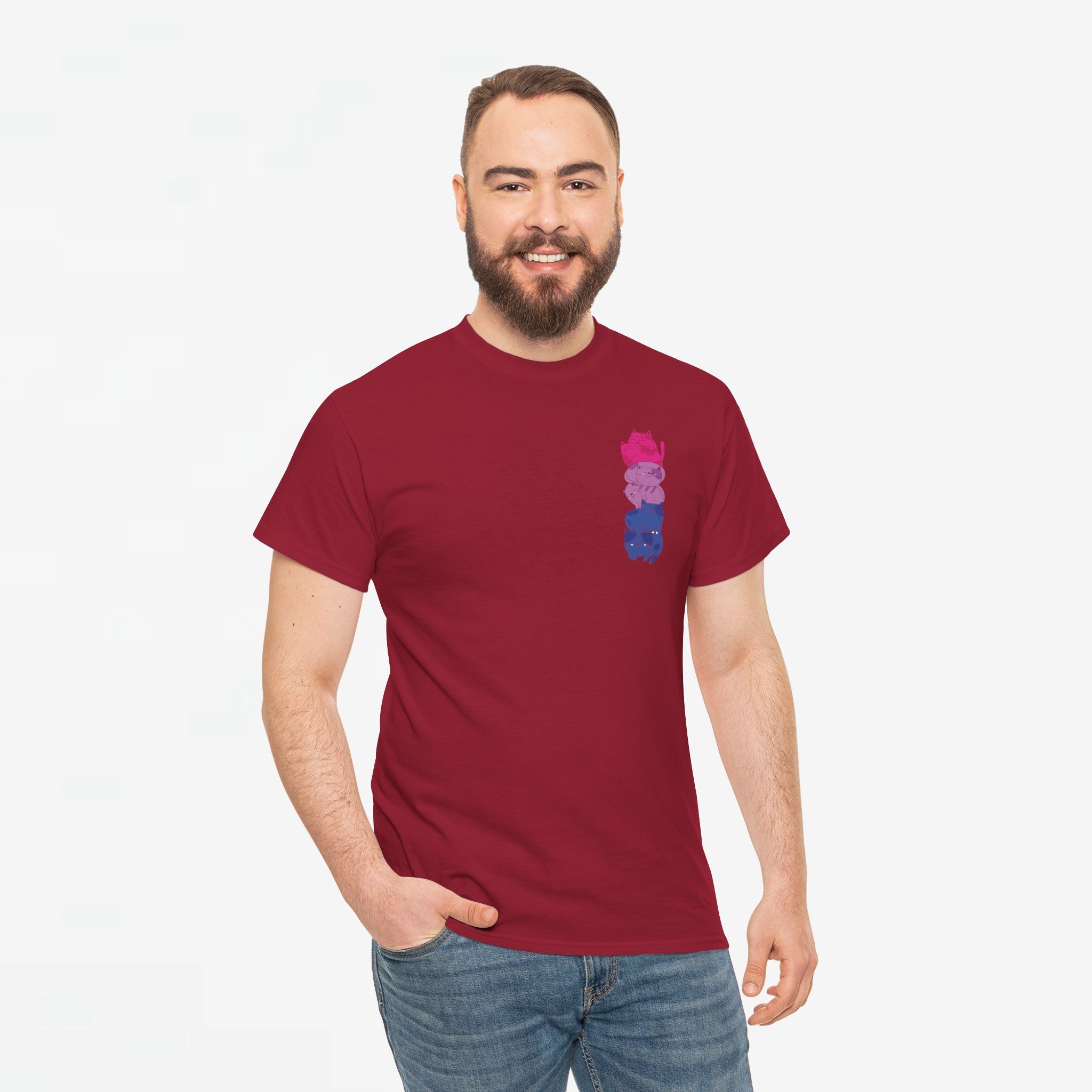 Gay Pride T-shirt - Katten Bi Vlag - Oversized #49