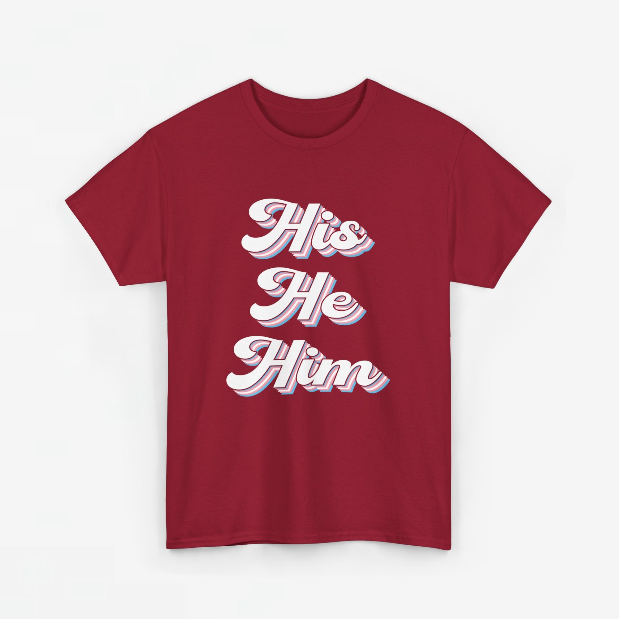 Gay Pride T-shirt - His He Him - Oversized #63