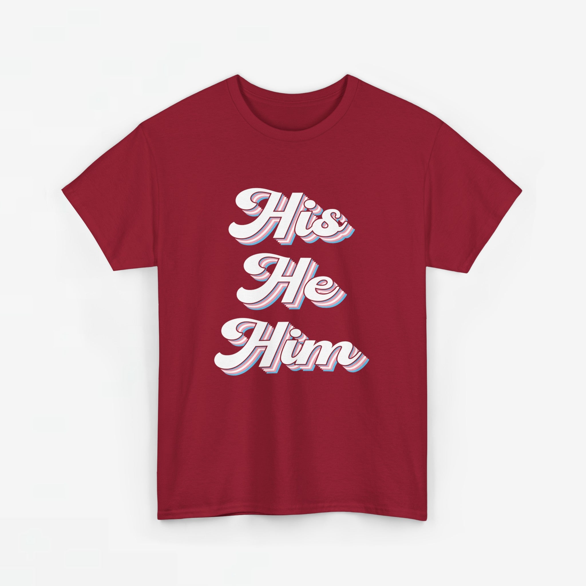 Gay Pride T-shirt - His He Him - Oversized #63
