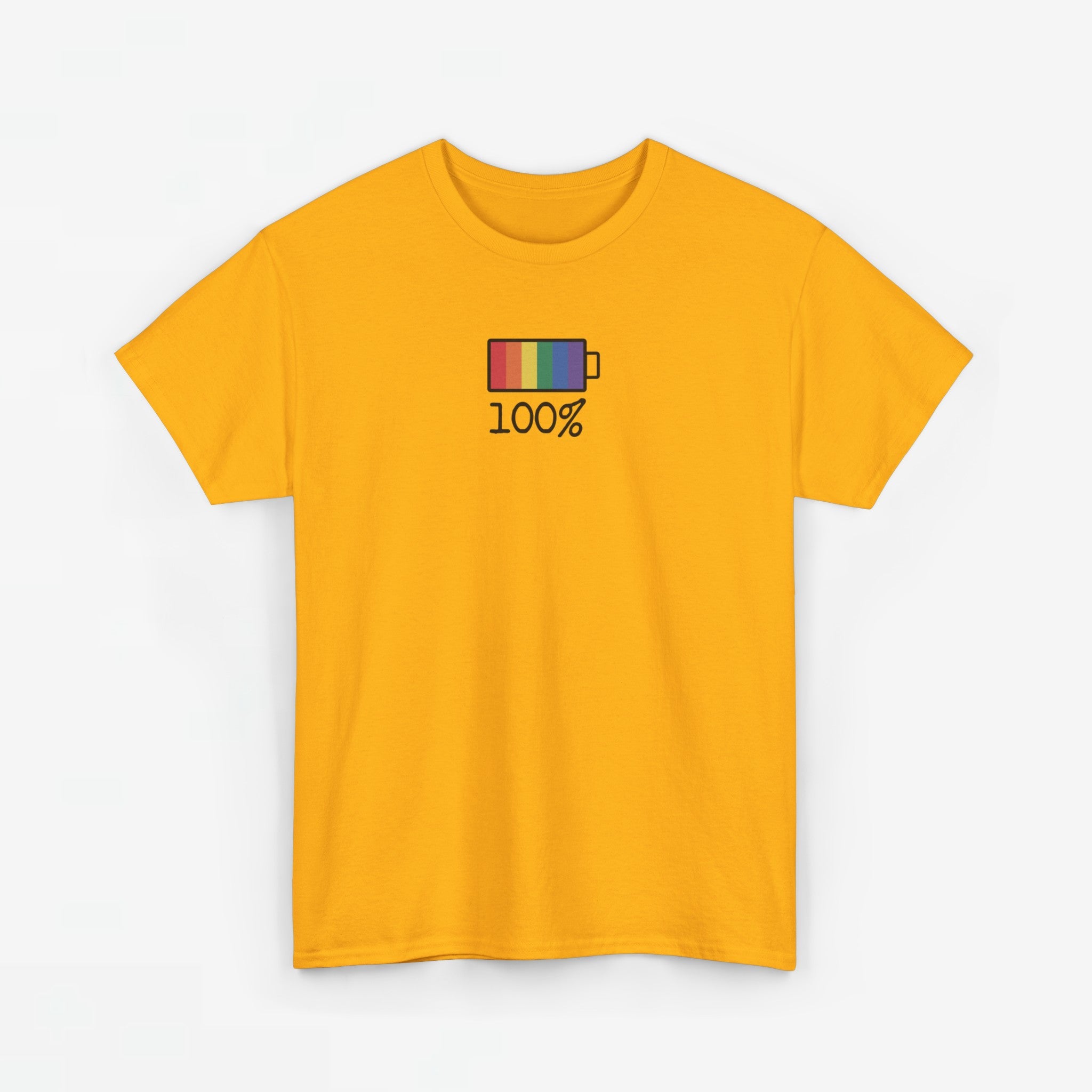 Gay Pride T-shirt - 100% Regenboog - Oversized #33