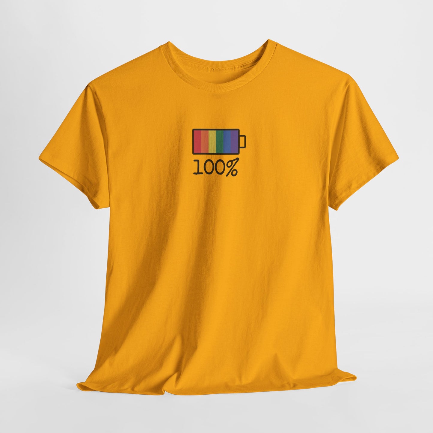 Gay Pride T-shirt - 100% Regenboog - Oversized #33