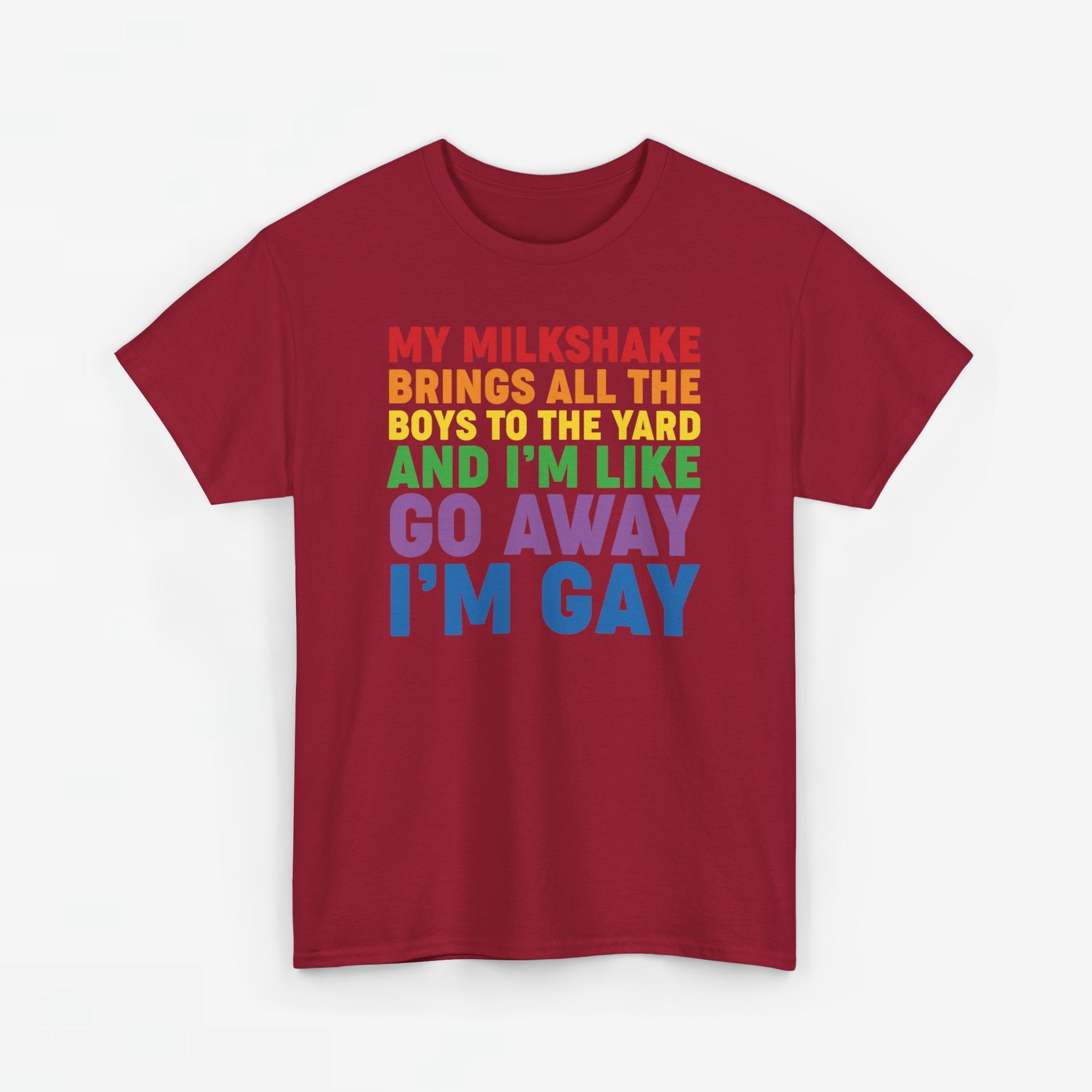 Gay Pride T-shirt - Go Away I'm Gay - Oversized #45