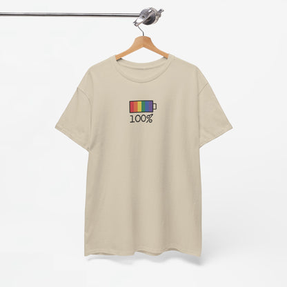 Gay Pride T-shirt - 100% Regenboog - Oversized #33