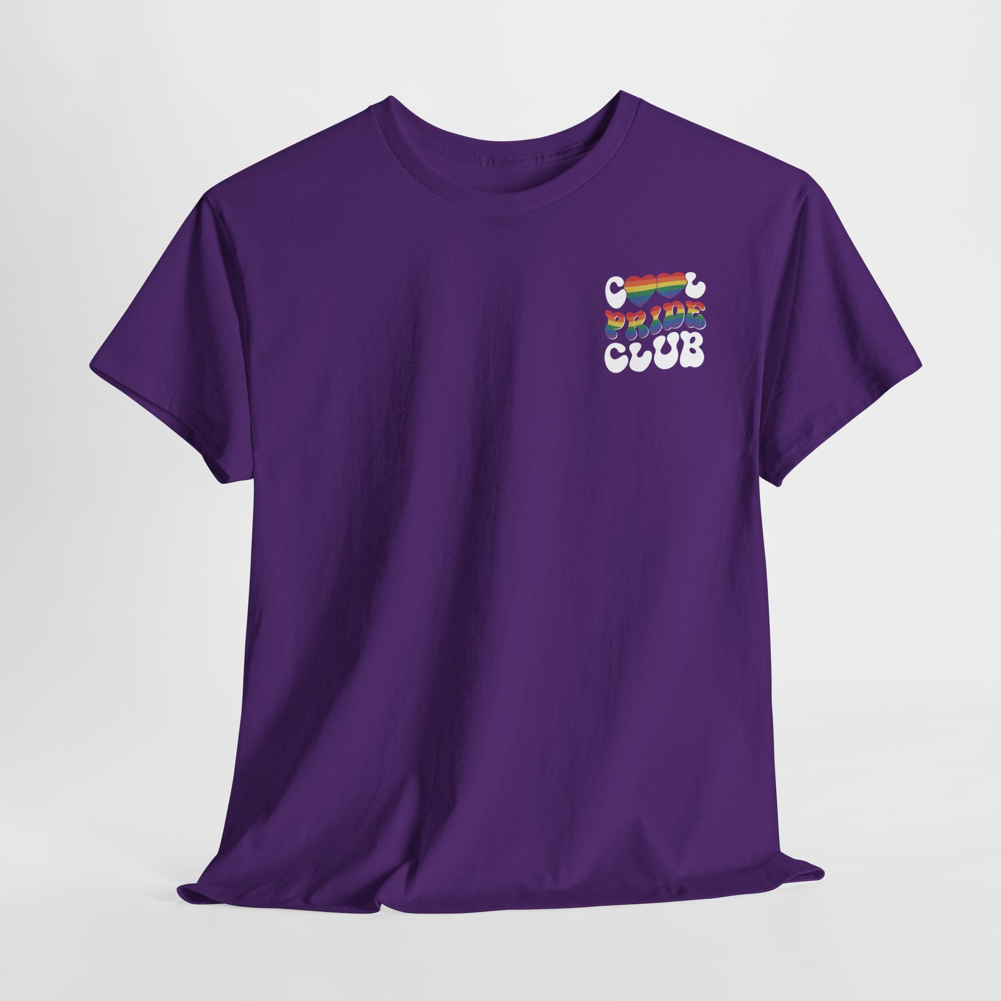 Gay Pride T-shirt - Cool Pride Club - Back Print - Oversized #21