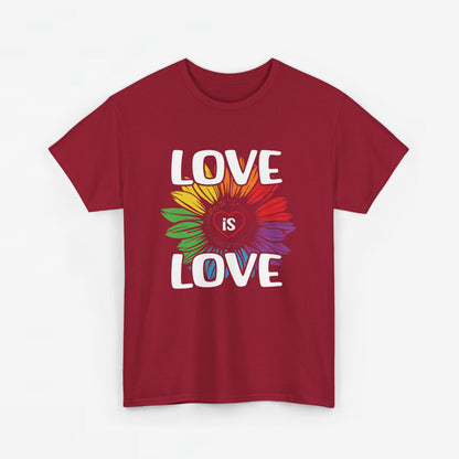 Gay Pride T-shirt - Love is Love - Oversized #65