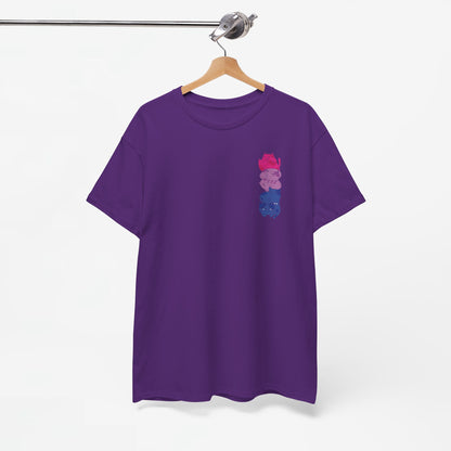 Gay Pride T-shirt - Katten Bi Vlag - Oversized #49