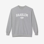 Sport grey varsity sweater met ronde hals en borstprint 'HAARLEM' met NL-embleem.