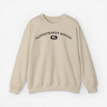 Beige sweater met ronde hals en borstprint 'ELEKTROTECHNISCH INGENIEUR NL'.
