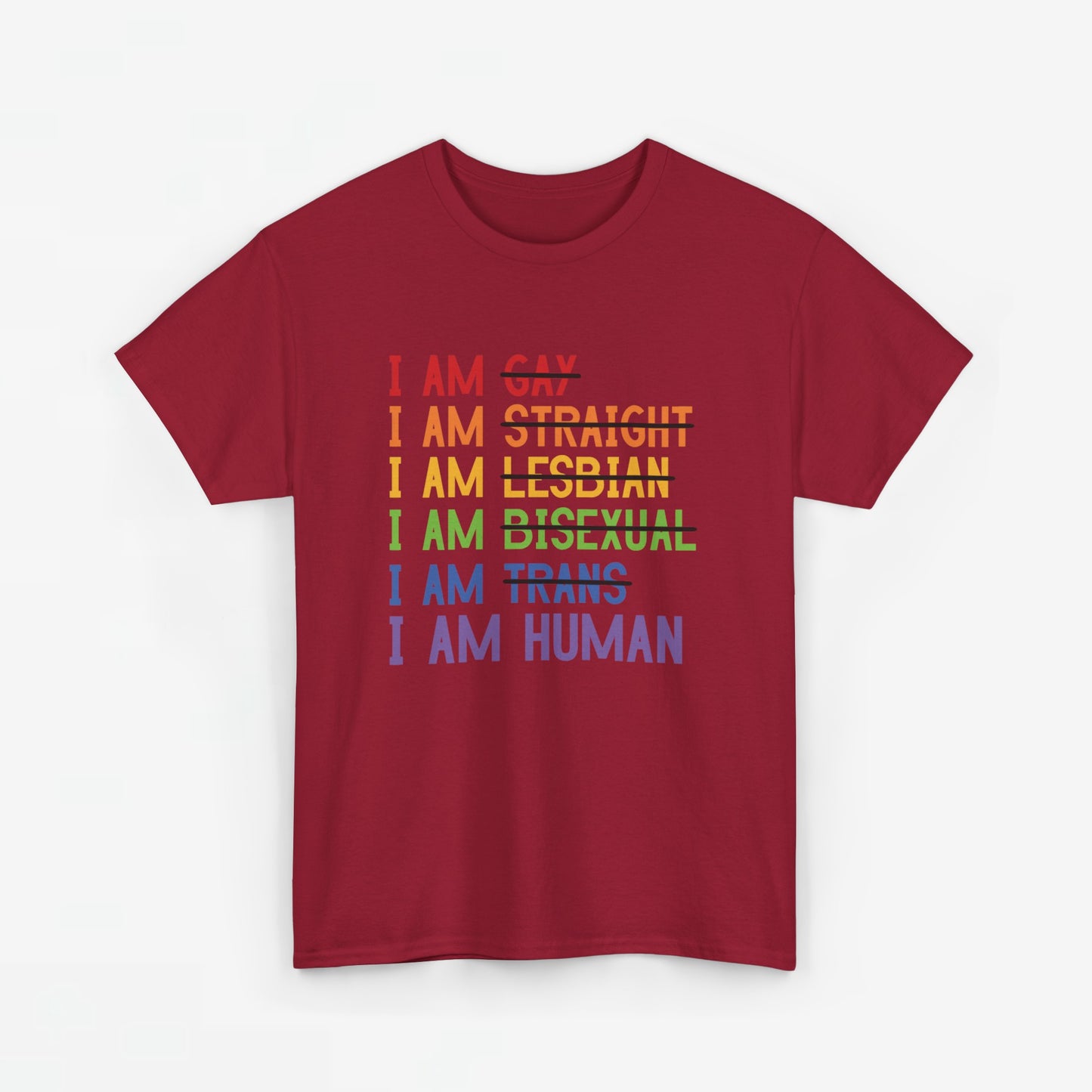 Gay Pride T-shirt - I am Human - Oversized #38