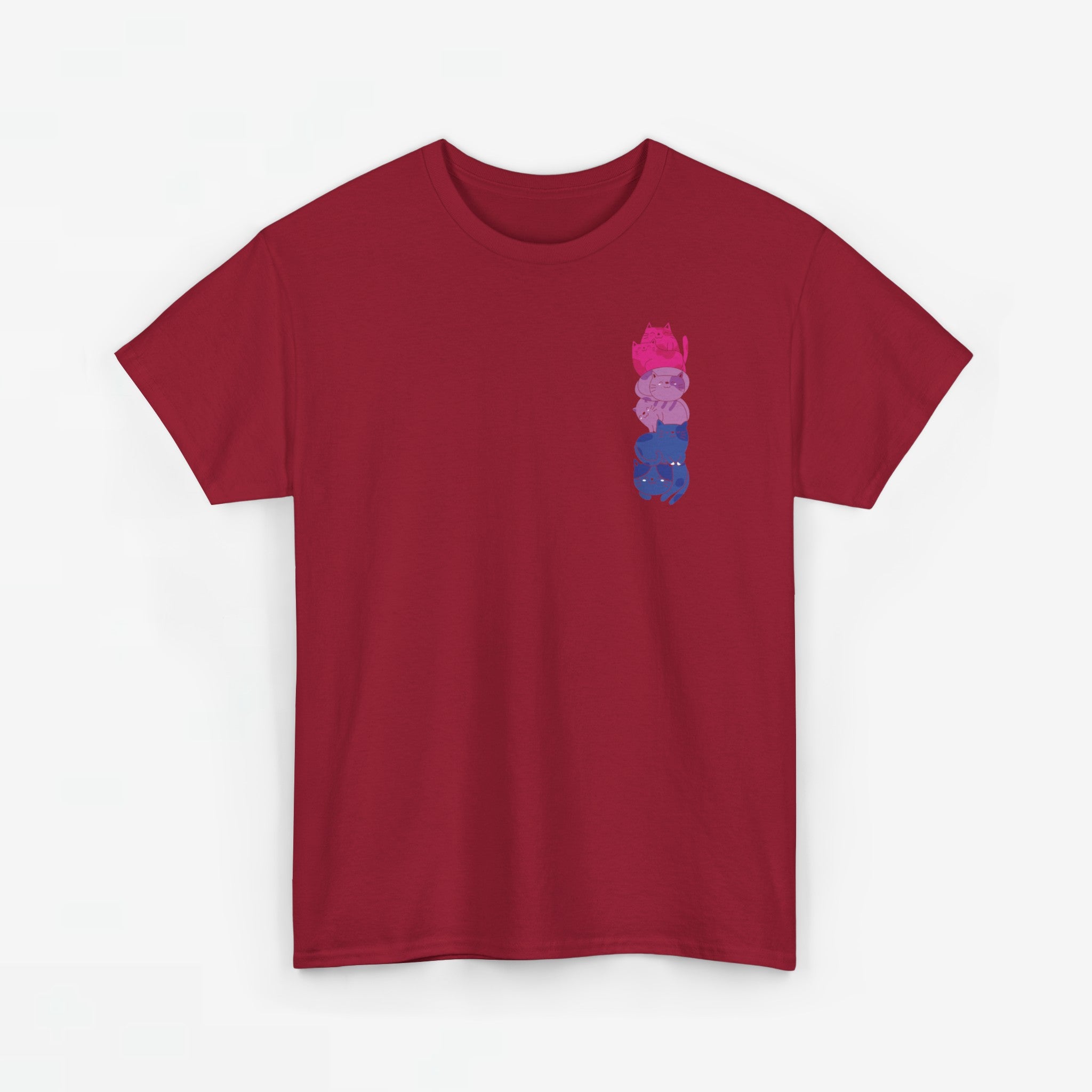 Gay Pride T-shirt - Katten Bi Vlag - Oversized #49