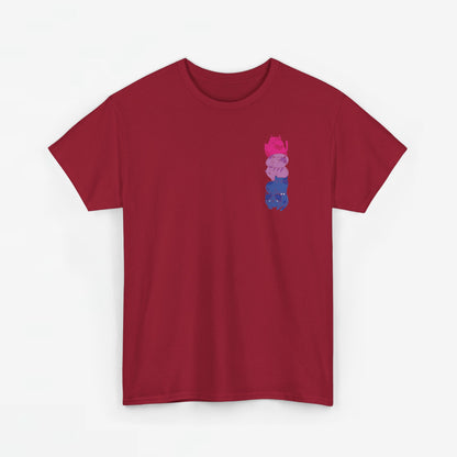 Gay Pride T-shirt - Katten Bi Vlag - Oversized #49