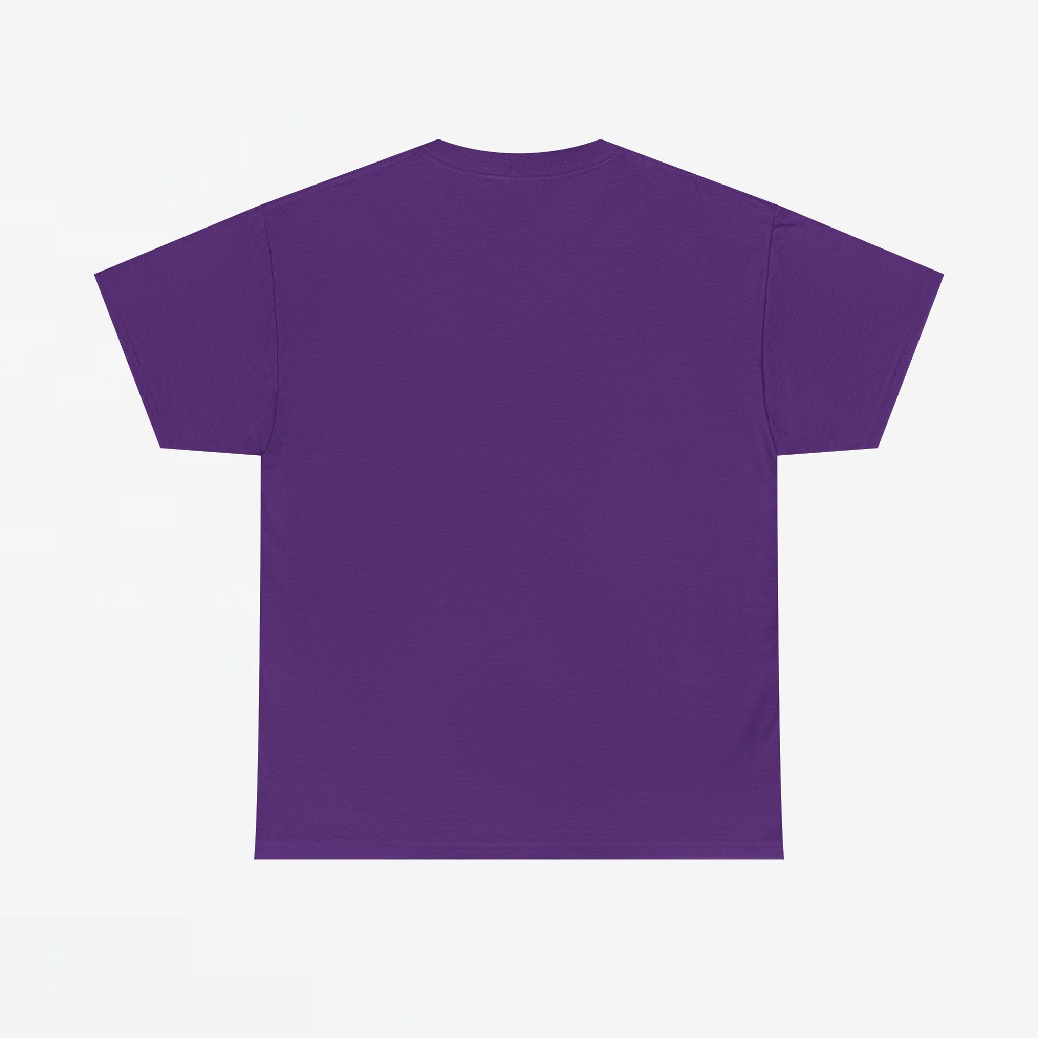 Gay Pride T-shirt - Bi Penguin - Oversized #59