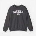 Haarlem sweater – voor studenten en locals | SkrrtShirt