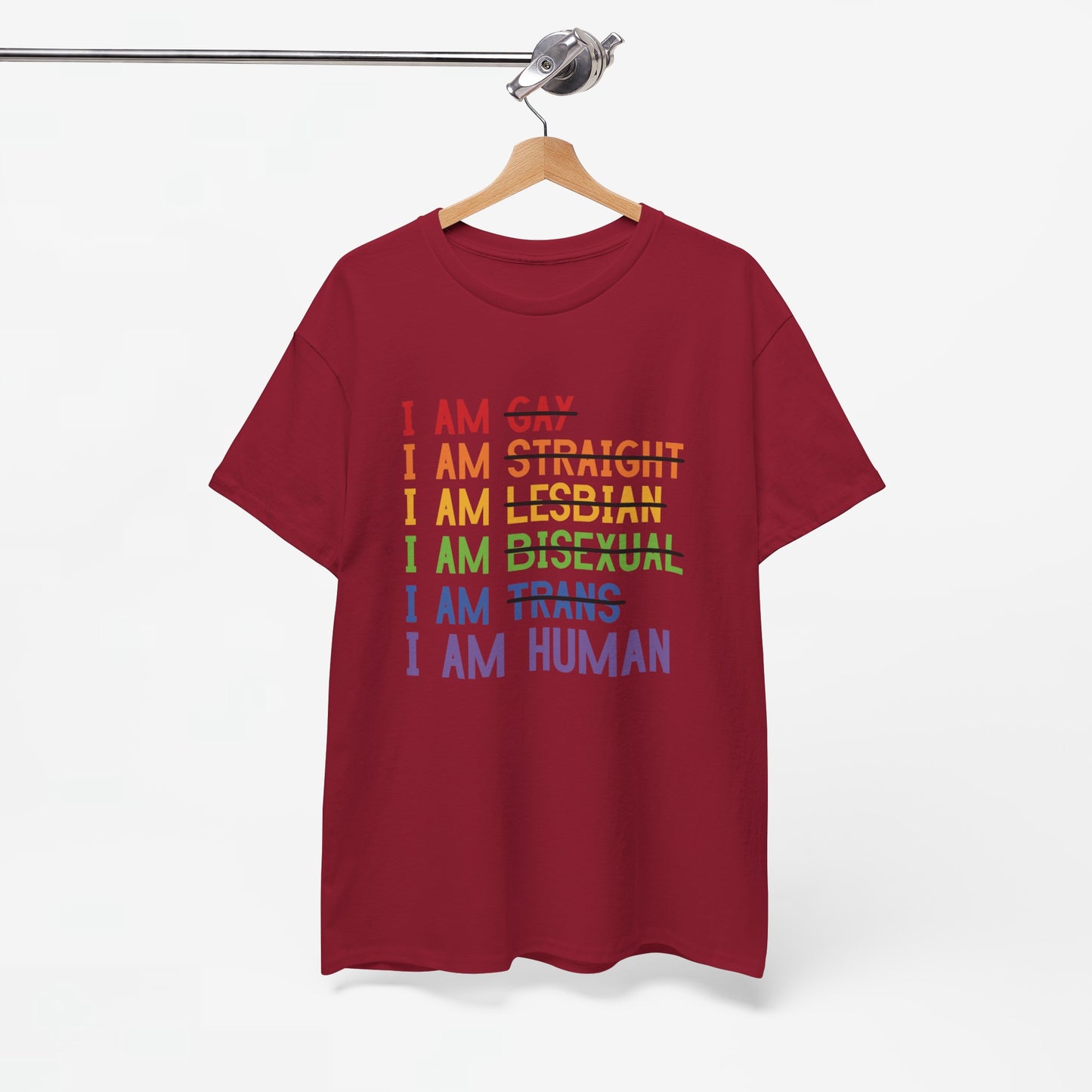 Gay Pride T-shirt - I am Human - Oversized #38